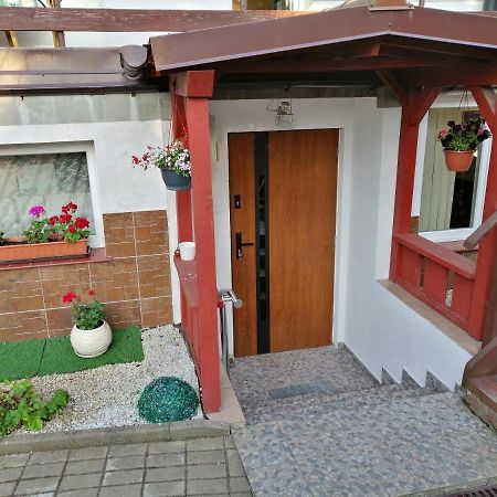 Apartament Przy Parku Malbork Buitenkant foto